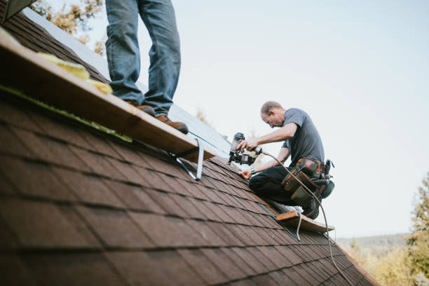 Best Residential Roofing Contractor  in Halifax, VA